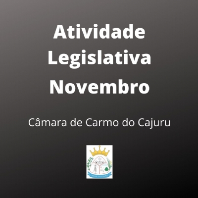 Atividade Legislativa Novembro 2020