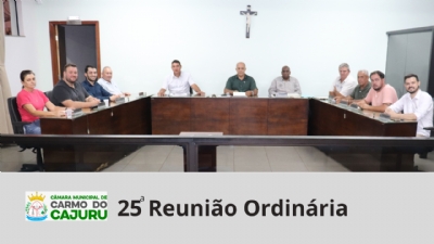 Resultado da 25 Reunião Ordinária 2025