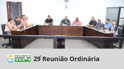 Áudio da 29 Reunião Ordinária 2024