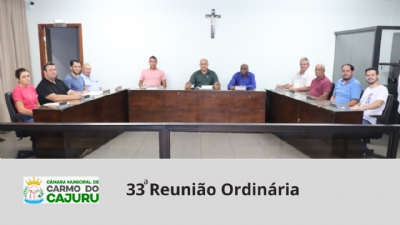 Resultado da 33a Reunião Ordinária 2024