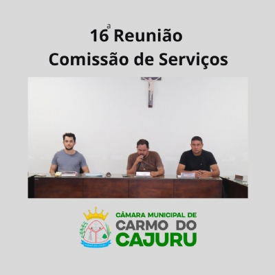 Resultado da 16 Reunião da Comissão de Serviços 2024