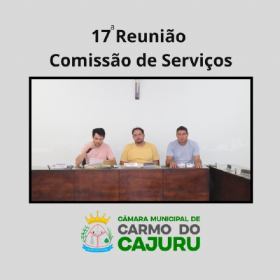 Resultado da 17a Reunião da Comissão de Serviços 2024