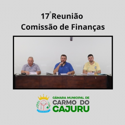 Vídeo da 17 Reunião da Comissão de Finanças 2024