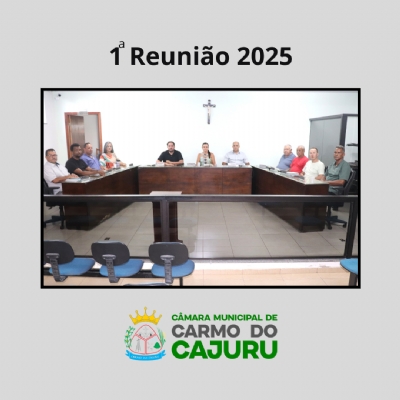 Resultado da 01 Reunião Ordinária 2025