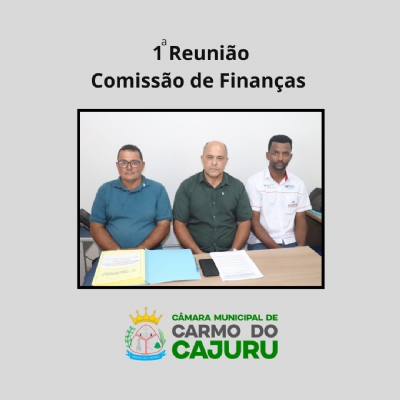 Resultado da 01 Reunião da Comissão de Finanças 2025