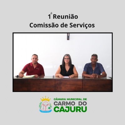 Resultado da 01 Reunião da Comissão de Serviços 2025