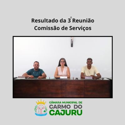 Resultado da 03 Reunião da Comissão de Serviços 2025