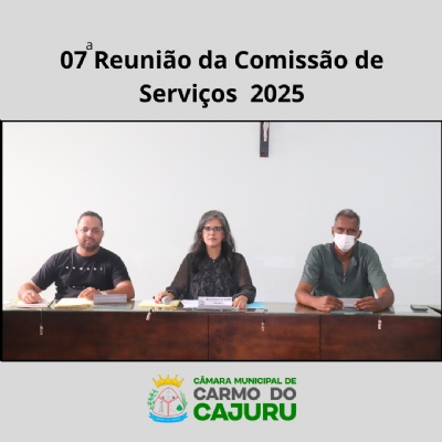 Vídeo da 07 Reunião da Comissão de Serviços 2025