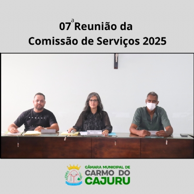 Áudio da 7 Reunião da Comissão de Serviços 2025