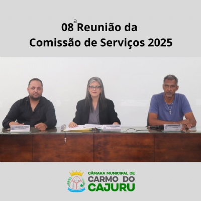 Vídeo da 8 Reunião da Comissão de Serviços 2025