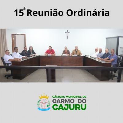 Áudio do Resultado da 15 Reunião Ordinária 2025