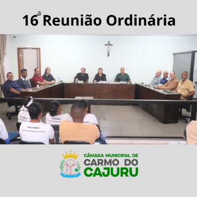 Áudio da 16 Reunião Ordinária 2025