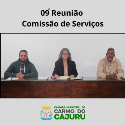 Áudio da 9 Reunião da Comissão de Serviços 2025