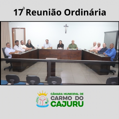 Resultado da 17 Reunião Ordinária 2025