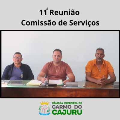 Áudio da 11 Reunião da Comissão de Serviços 2025