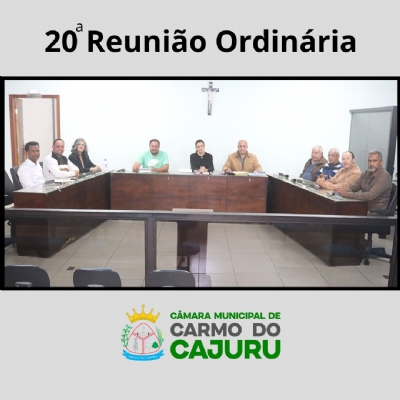 Áudio da 20 Reunião Ordinária 2025