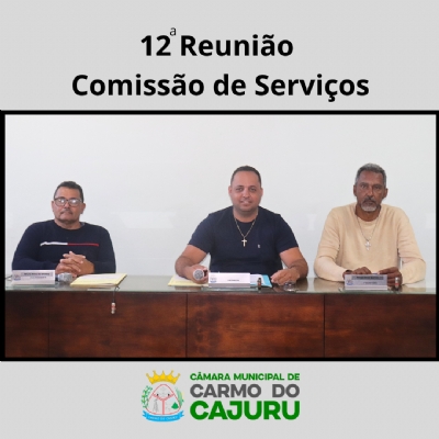 Áudio da 12 Reunião da Comissão de Serviços 2025