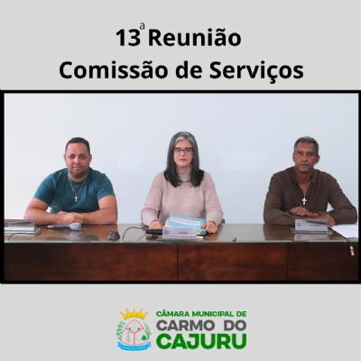 Resultado da 13 Reunião da Comissão de Serviços 2025