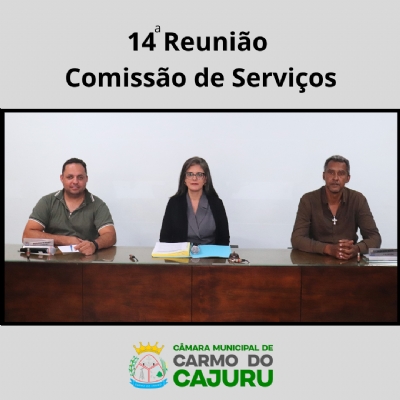 Resultado da 14 Reunião da Comissão de Serviços 2025