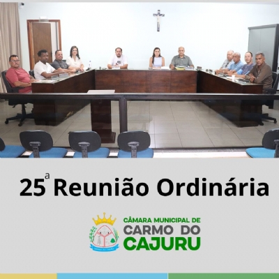 Resultado da 25 Reunião Ordinária 2025