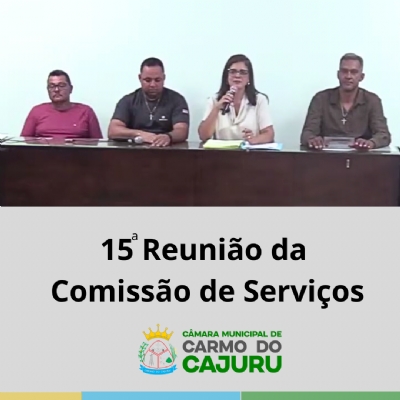 Áudio da 15 Reunião da Comissão de Serviços 2025
