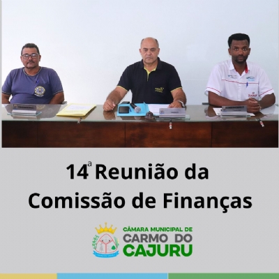 Vìdeo da 14 Reunião da Comissão de Finanças 2025