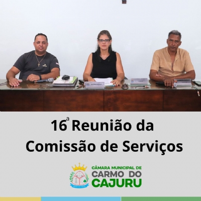 Resultado da 16 Reunião da Comissão de Serviços 2025