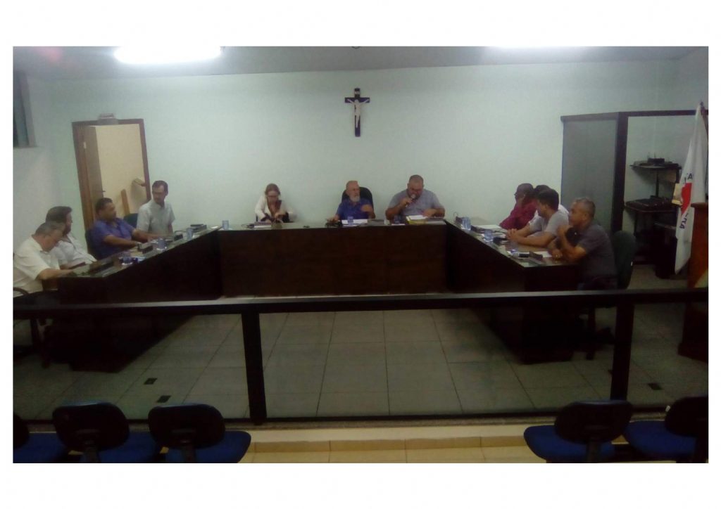 12 reunião ordinária 2019