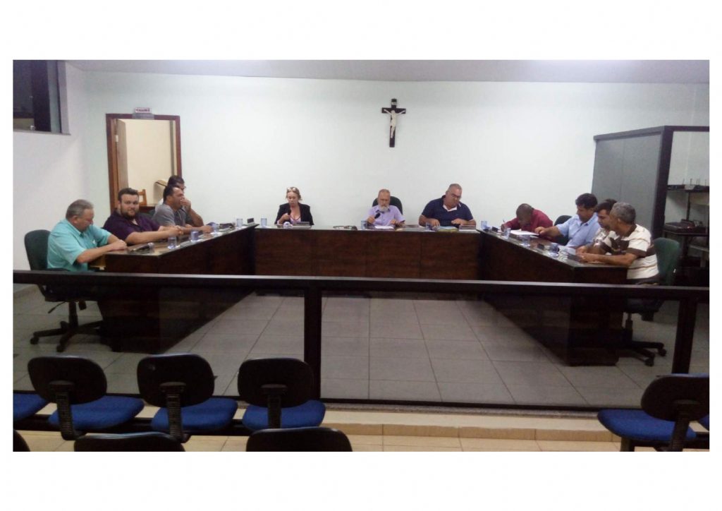 17 Reunião Ordinária