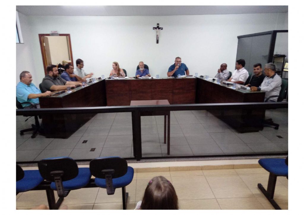 30 reunião ordinária 2019: gravação