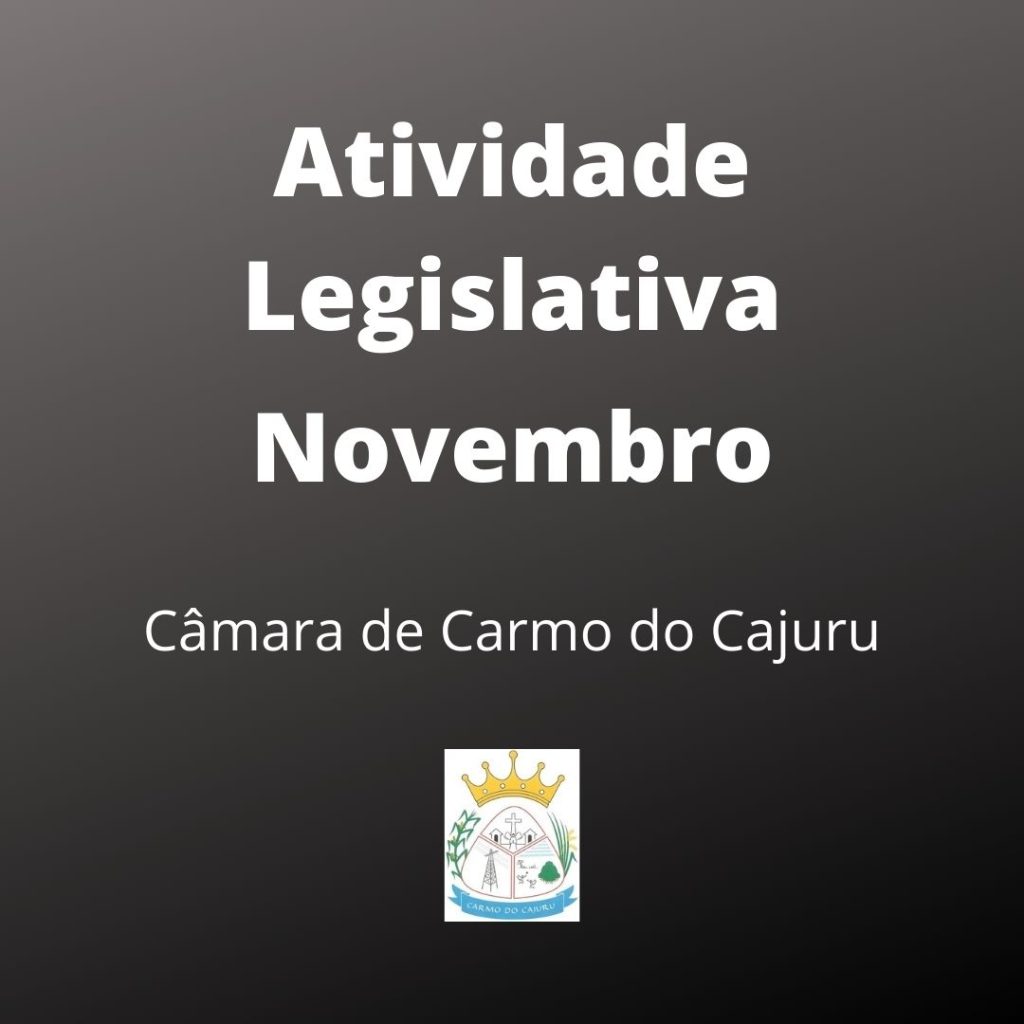 Atividade Legislativa Novembro 2020