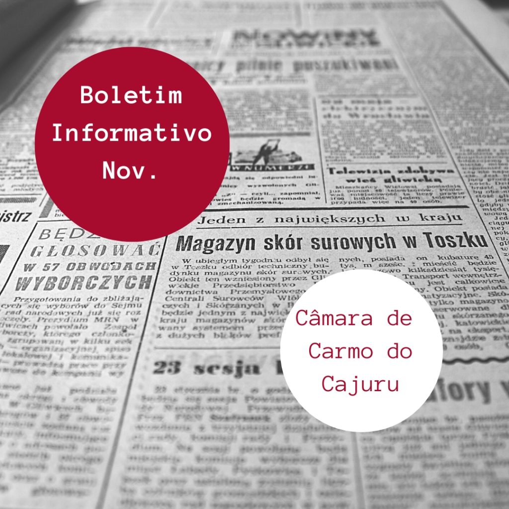 Boletim de Novembro 2022