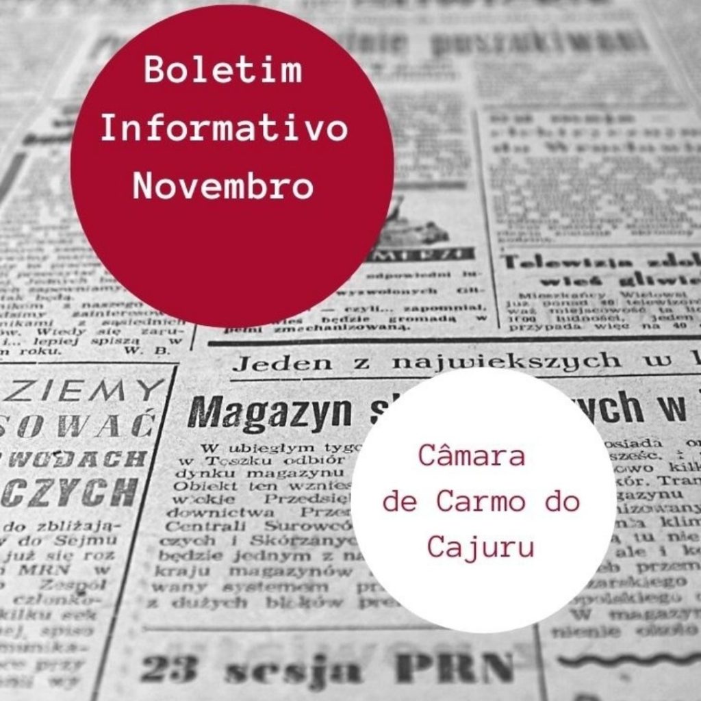 Boletim de Novembro
