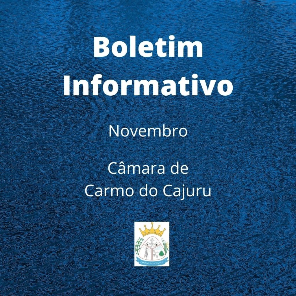 Boletim Informativo: novembro 2020 Boletim Informativo: novembro 2020