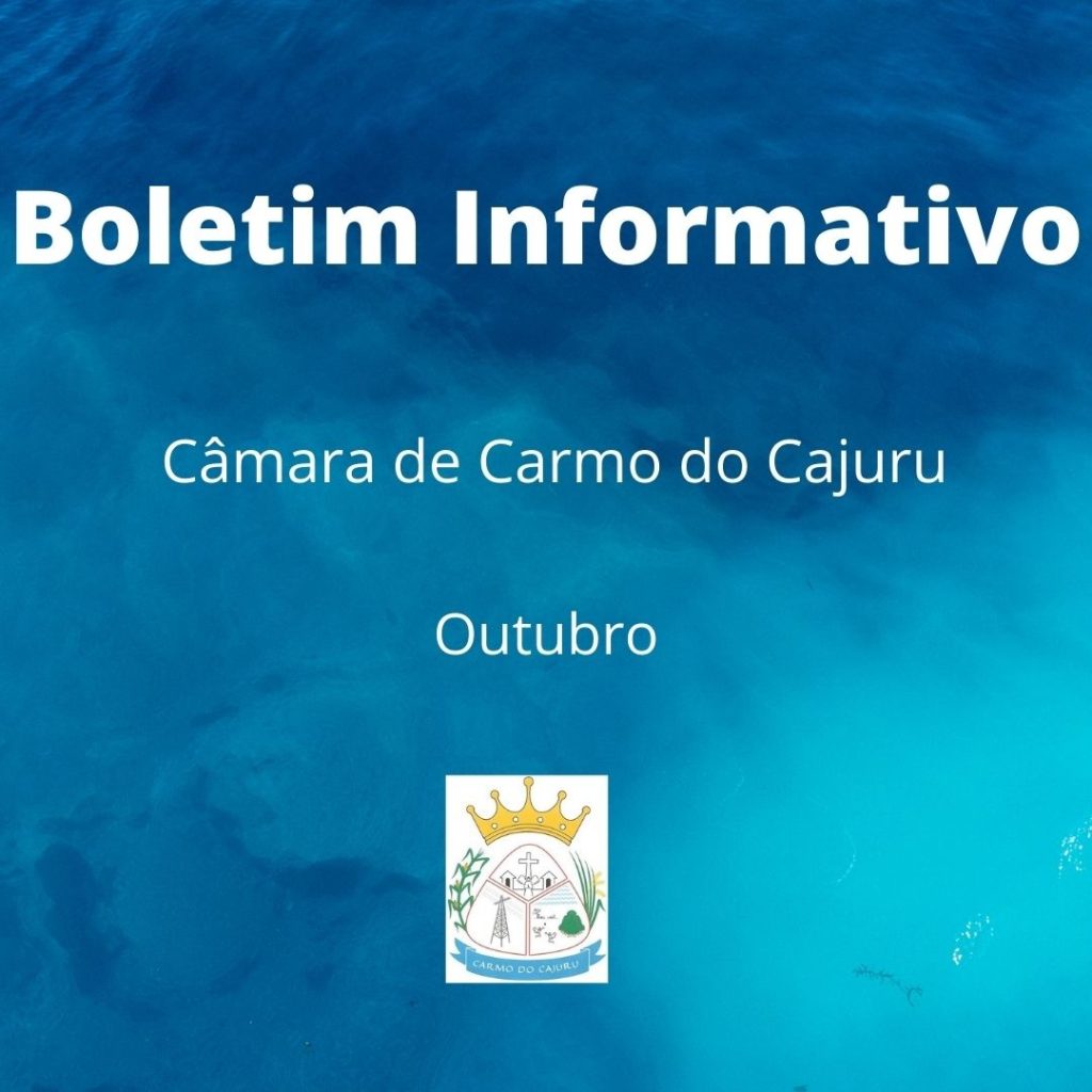 Boletim Informativo da Câmara: outubro 2020 Boletim Informativo da Câmara: outubro 2020