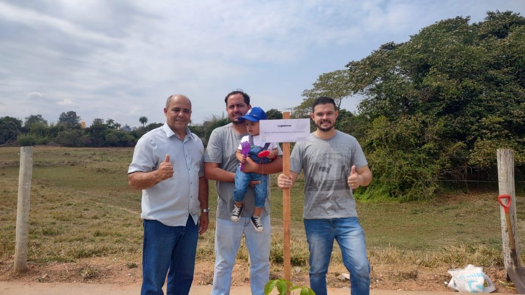 Dia da árvore
