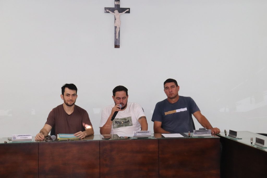 Resultado da 10 Reunião da Comissão de Serviços 2024