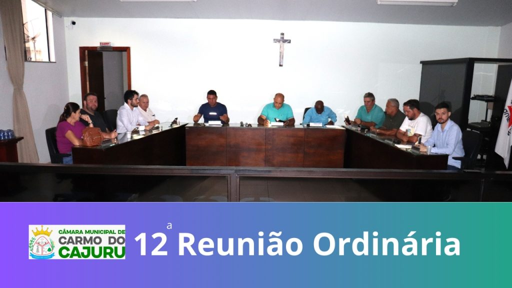 Resultado da 12 Reunião Ordinária 2024