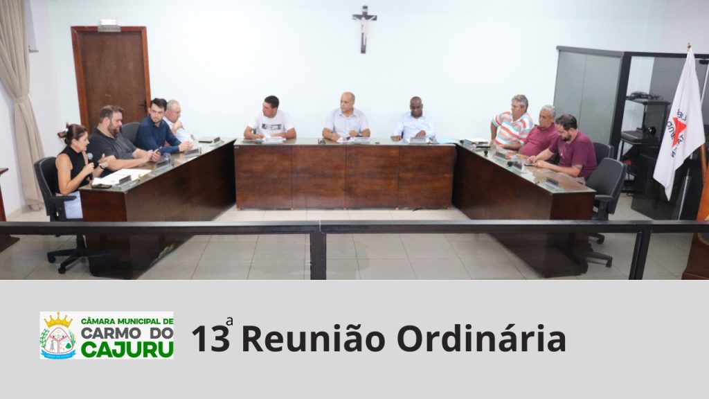 Resultado da 13 Reunião Ordinária 2024