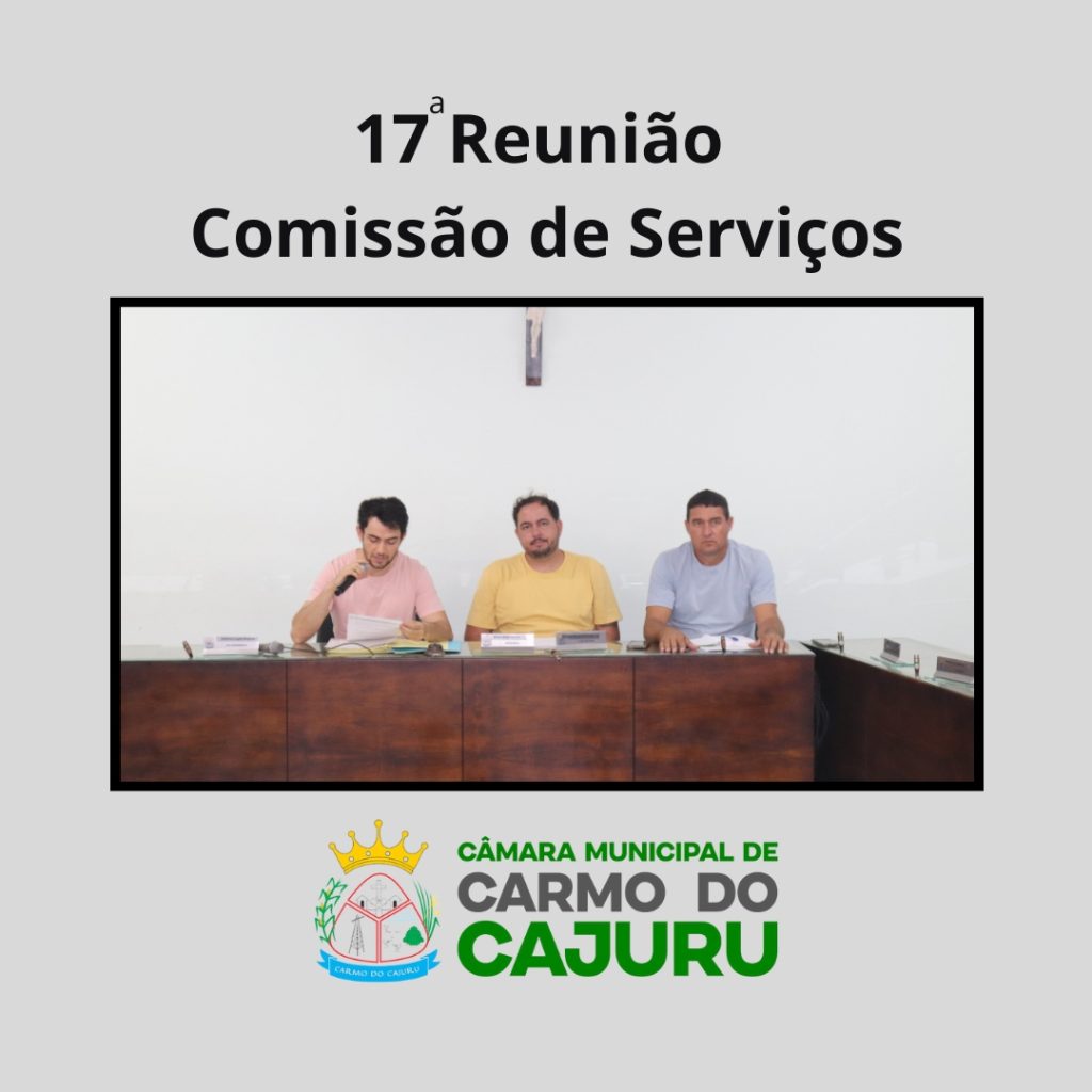 Resultado da 17a Reunião da Comissão de Serviços 2024
