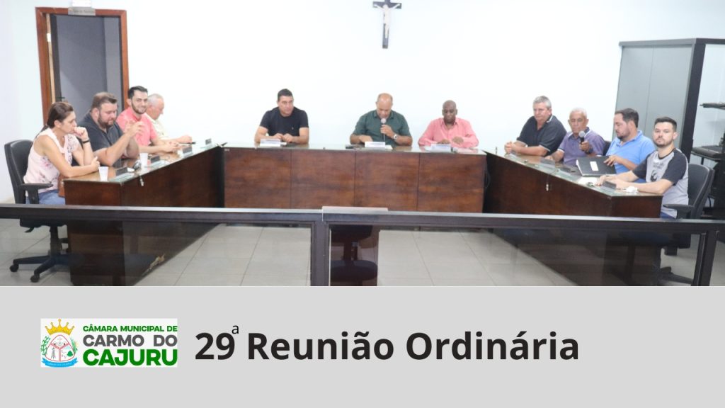 Resultado da 29 Reunião Ordinária 2024