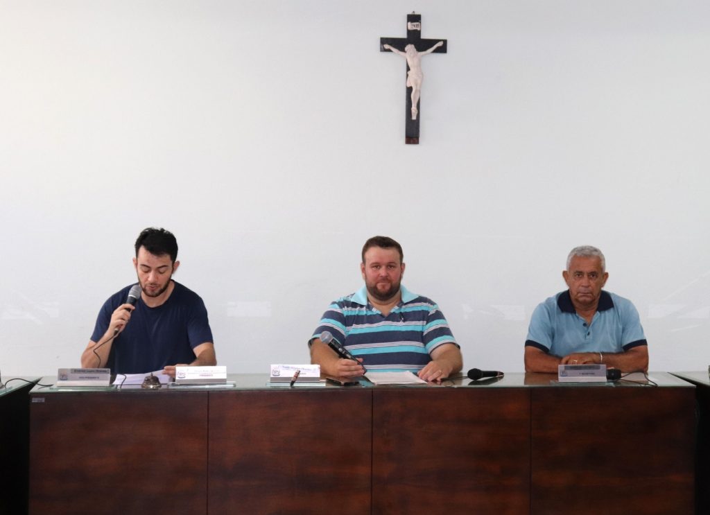 Resultado da Reunião da Comissão Especial sobre o Veto Parcial ao PL 90