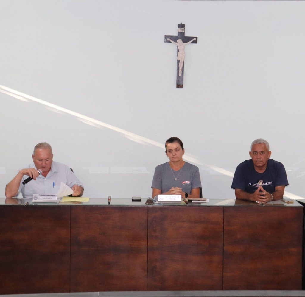 Resultados das reuniões das Comissões de Legislação (13a), Finanças (12a) e Serviços (12a) 2024