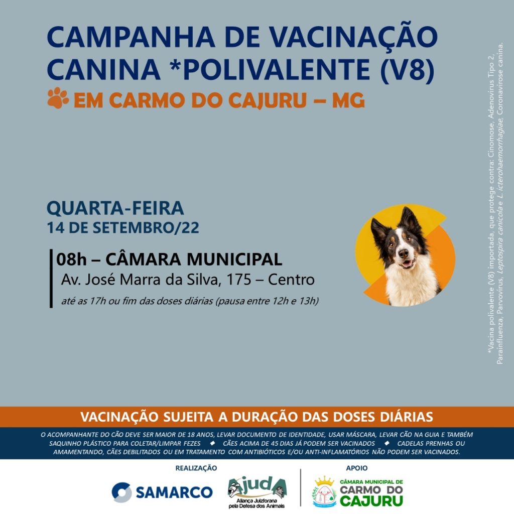 Vacinação de cães